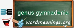 WordMeaning blackboard for genus gymnadenia